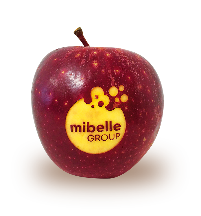 Gravure sur pomme Mirabelle Group 
